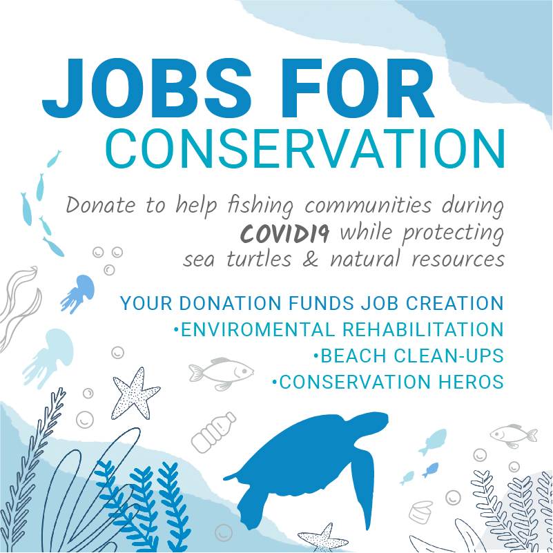 COVID19 relief – jobs for conservation